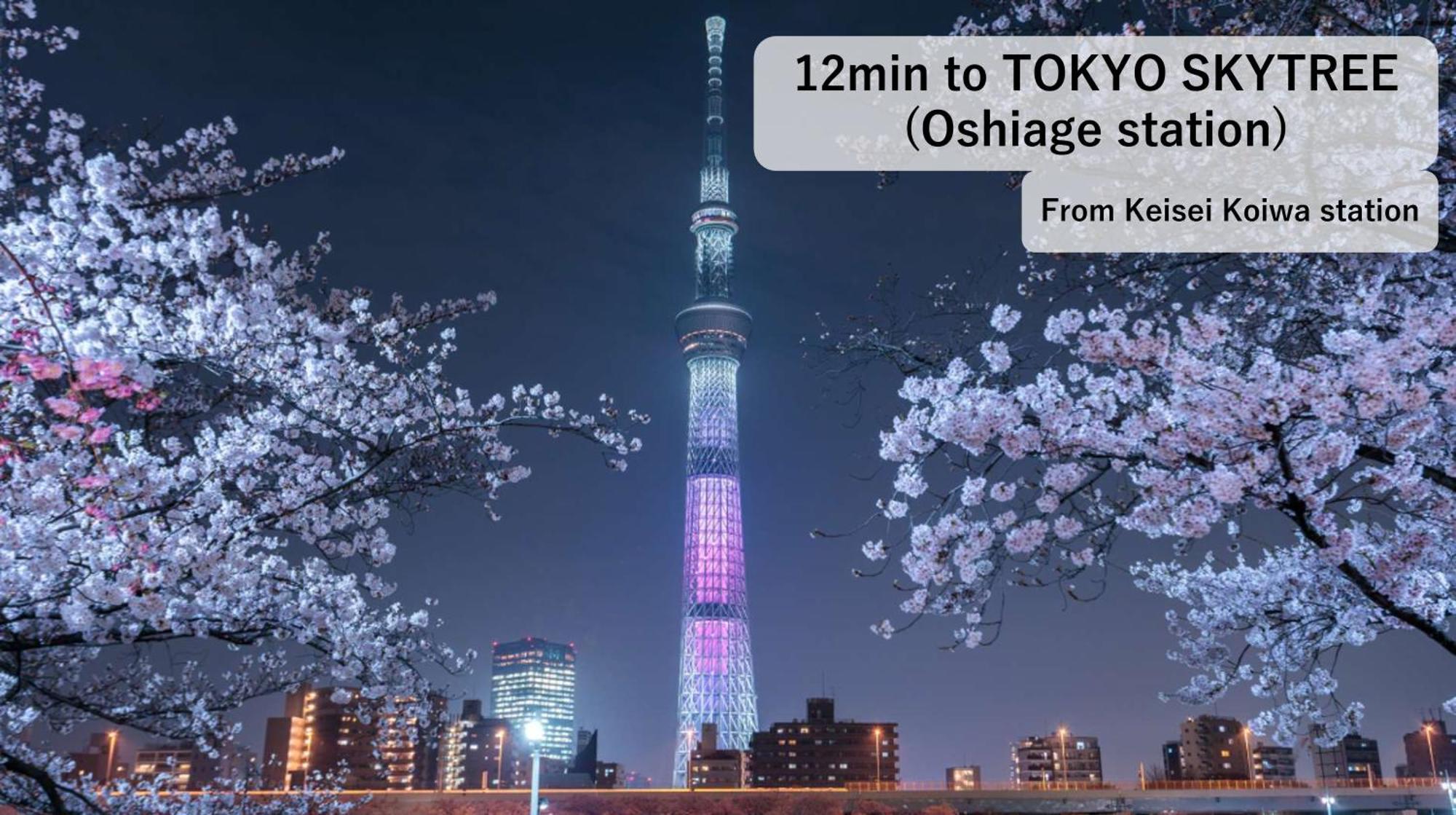 Asahistay -Koiwa, Free Parking O, Whole Family House, Japanese Garden Taste Tóquio Exterior foto
